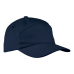 Carbon Cap 6 Panel