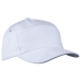 Carbon Cap 6 Panel