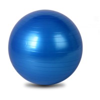 Anti Burst Gym Ball 55cm