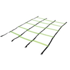 Triple Speed Ladder
