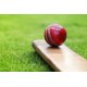 CRICKET CRICKET