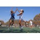 NETBALL NETBALL