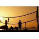 VOLLEYBALL VOLLEYBALL